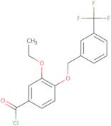 3-Ethoxy-4-{[3-(trifluoromethyl)benzyl]oxy}benzoyl chloride