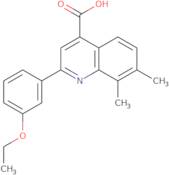 2-(3-Ethoxyphenyl)-7,8-dimethylquinoline-4-carboxylic acid