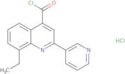 8-Ethyl-2-pyridin-3-ylquinoline-4-carbonyl chloride hydrochloride