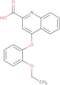 4-(2-Ethoxyphenoxy)quinoline-2-carboxylic acid