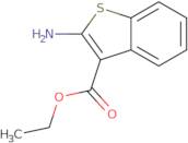 Ethyl 2-amino-1-benzothiophene-3-carboxylate