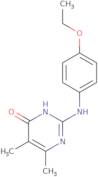 2-[(4-Ethoxyphenyl)amino]-5,6-dimethylpyrimidin-4(3H)-one