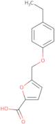 5-[(4-Ethylphenoxy)methyl]-2-furoic acid