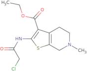 Ethyl 2-[(chloroacetyl)amino]-6-methyl-4,5,6,7-tetrahydrothieno[2,3-c]pyridine-3-carboxylate