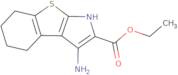 Ethyl 3-amino-4,5,6,7-tetrahydro-1H-[1]benzothieno[2,3-b]pyrrole-2-carboxylate