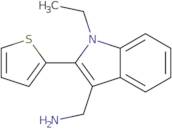 {[1-Ethyl-2-(2-thienyl)-1H-indol-3-yl]methyl}amine