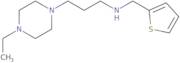 [3-(4-Ethylpiperazin-1-yl)propyl](2-thienylmethyl)amine