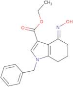 Ethyl (4E)-1-benzyl-4-(hydroxyimino)-4,5,6,7-tetrahydro-1H-indole-3-carboxylate