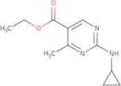 Ethyl 2-(cyclopropylamino)-4-methylpyrimidine-5-carboxylate