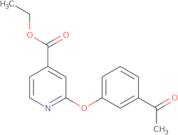 Ethyl 2-(3-acetylphenoxy)isonicotinate