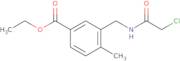 Ethyl 3-{[(chloroacetyl)amino]methyl}-4-methylbenzoate