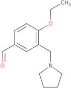 4-Ethoxy-3-(pyrrolidin-1-ylmethyl)benzaldehyde