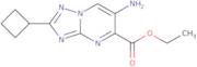 Ethyl 6-amino-2-cyclobutyl[1,2,4]triazolo[1,5-a]pyrimidine-5-carboxylate