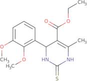 Ethyl 4-(2,3-dimethoxyphenyl)-6-methyl-2-thioxo-1,2,3,4-tetrahydropyrimidine-5-carboxylate