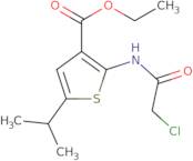 Ethyl 2-[(chloroacetyl)amino]-5-isopropylthiophene-3-carboxylate