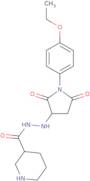 N'-[1-(4-Ethoxyphenyl)-2,5-dioxopyrrolidin-3-yl]piperidine-3-carbohydrazide
