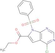 Ethyl 4-chloro-7-(phenylsulfonyl)-7H-pyrrolo[2,3-d]pyrimidine-6-carboxylate