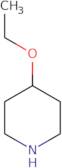 4-Ethoxy-piperidine