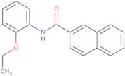 N-(2-Ethoxyphenyl)naphthalene-2-carboxamide