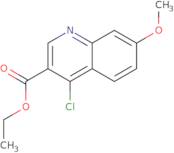 Ethyl4-chloro-7-methoxy-3-quinolinecarboxylate