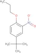 Ether-4-tert butyl-2-nitrophenylpropyl