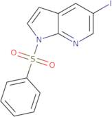 1-Benzenesulfonyl-5-iodo-1H-pyrrolo[2,3-b]pyridine