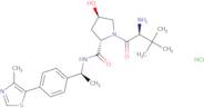 E3 ligase Ligand 1