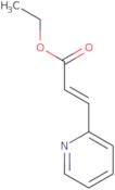 Ethyl (E)-3-(2-pyridyl)acrylate