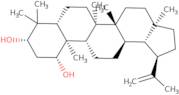 3-Epiglochidiol