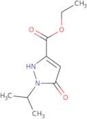 Ethyl 5-hydroxy-1-isopropyl-1h-pyrazole-3-carboxylate