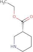 R-(-)-Ethyl nipecotate