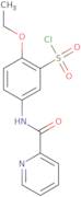 2-Ethoxy-5-(pyridine-2-caboxamido)benzene-1-sulfonyl chloride