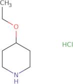 4-Ethoxypiperidine Hydrochloride