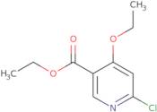 Ethyl 6-chloro-4-ethoxypyridine-3-carboxylate