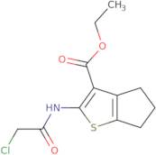 ethyl 2-[(2-chloroacetyl)amino]-5,6-dihydro-4h-cyclopenta[b]thiophene-3-carboxylate