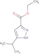 ethyl 5-isopropyl-1h-pyrazole-3-carboxylate