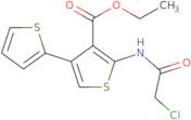 ethyl 2-[(2-chloroacetyl)amino]-4-(2-thienyl)-3-thiophenecarboxylate