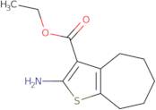 ethyl 2-amino-5,6,7,8-tetrahydro-4h-cyclohepta[b]thiophene-3-carboxylate