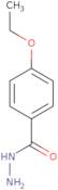 4-Ethoxybenzhydrazide