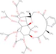 Euonymine