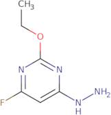 2-Ethoxy-4-fluoro-6-hydrazinopyrimidine