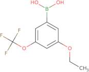 3-Ethoxy-5-(trifluoroMethoxy)phenylboronic acid
