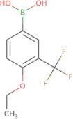 B-[4-Ethoxy-3-(Trifluoromethyl)Phenyl]-Boronic Acid