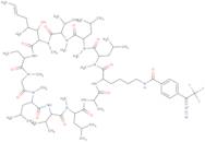 N(ε)-(Diazotrifluoroethyl)benzoyl-lys(8)-cyclosporin