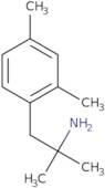 1-(2,4-Dimethylphenyl)-2-methylpropan-2-amine