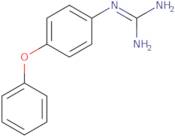 1-(4-phenoxyphenyl)guanidine nitrate