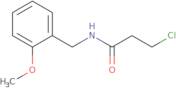 3-Chloro-N-(2-methoxybenzyl)propanamide