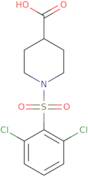 1-(2,6-Dichlorobenzenesulfonyl)piperidine-4-carboxylic acid