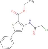 Ethyl 3-(2-chloroacetamido)-5-phenylthiophene-2-carboxylate