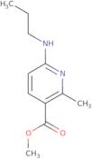 Methyl 2-methyl-6-(propylamino)nicotinate